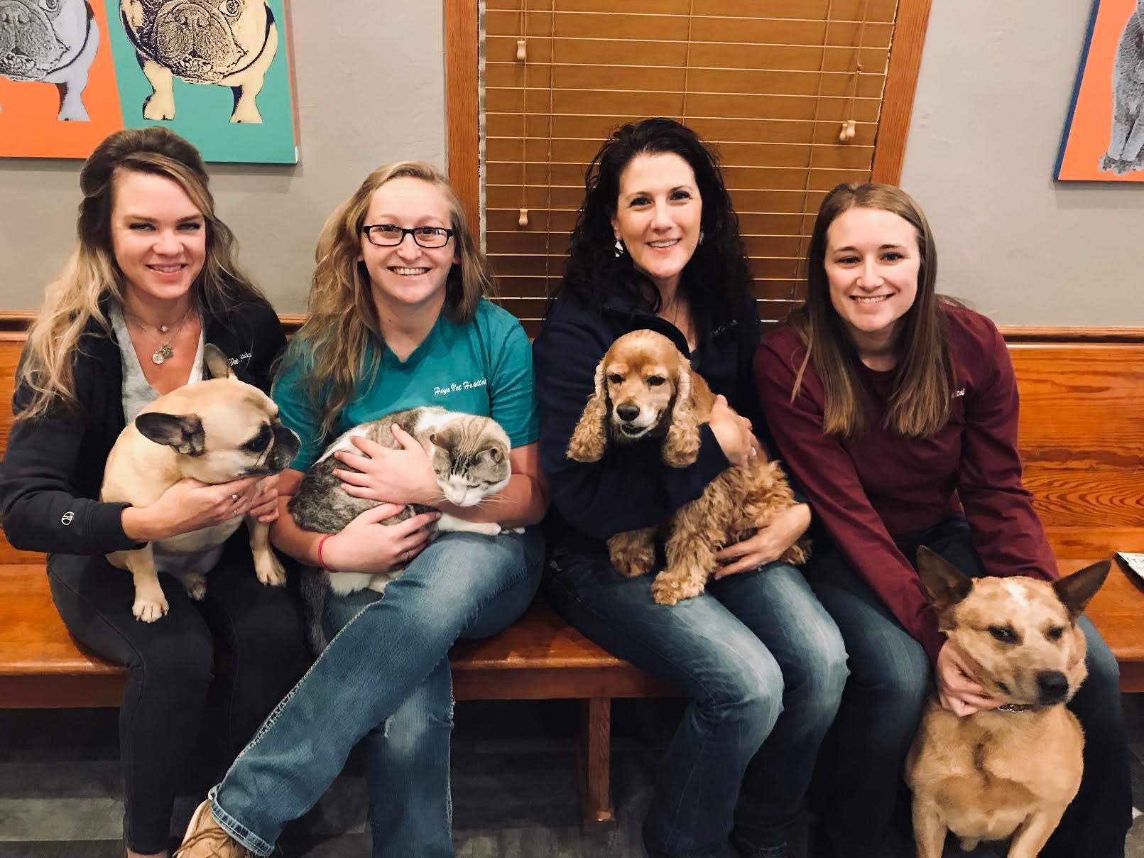 veterinary team members