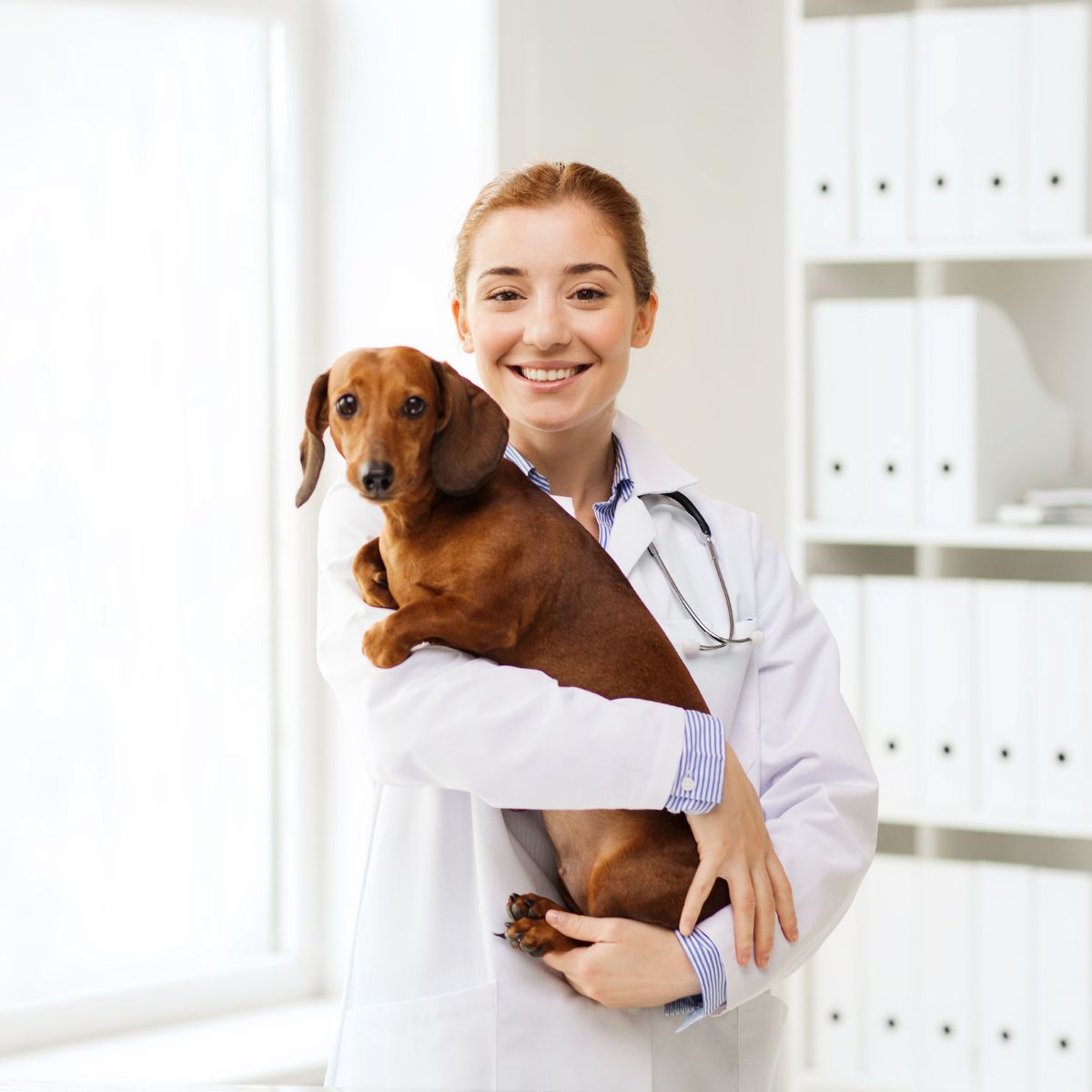 Happy vet with dog at vet clinic